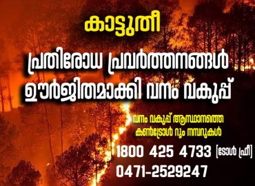 Forest fire- prevention activities intensified