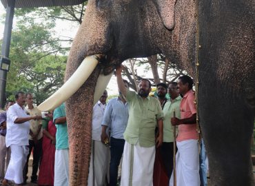 Thrissur Pooram: Animal protection and forest departments are ready for the safety of elephants