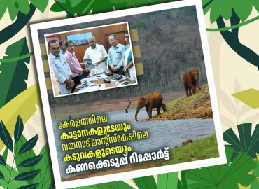 Kerala elephant and tiger census report