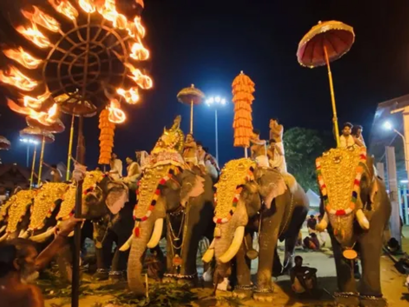 Elephant processions at festivals - State government's proposal approved