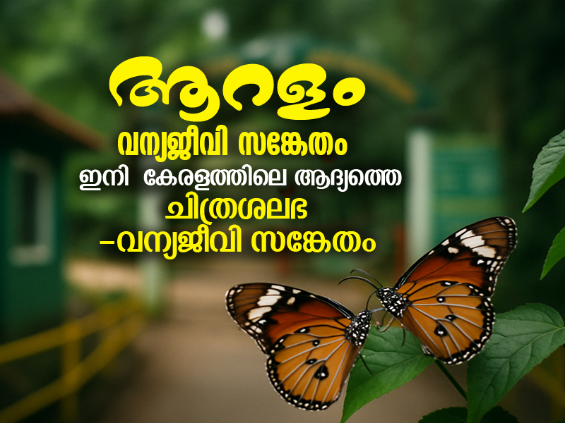 Aralam Wildlife Sanctuary to be converted into a butterfly and wildlife sanctuary