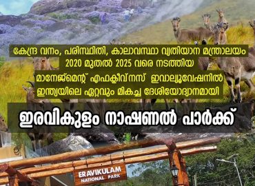 Eravikulam is the best national park in India.