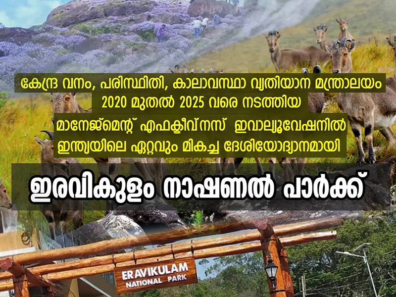 Eravikulam is the best national park in India.