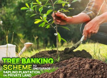 Tree Banking Project: Forest Department to ensure afforestation and carbon neutrality